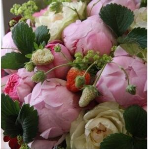 Meet your Posher, Brittaney